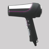 2000W Professional Hair Dryer